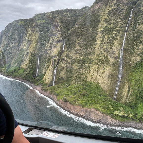 Meet your Posher, Leah - Picture 12 of 12